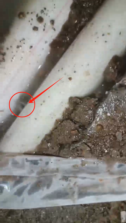 冒水點不一定是漏水點客戶上門幫測漏